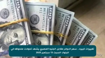 تغييرات كبيرة.. سعر الدولار مقابل الجنيه المصري يشهد تحولات ملحوظة في البنوك السبت 13 سبتمبر 2025